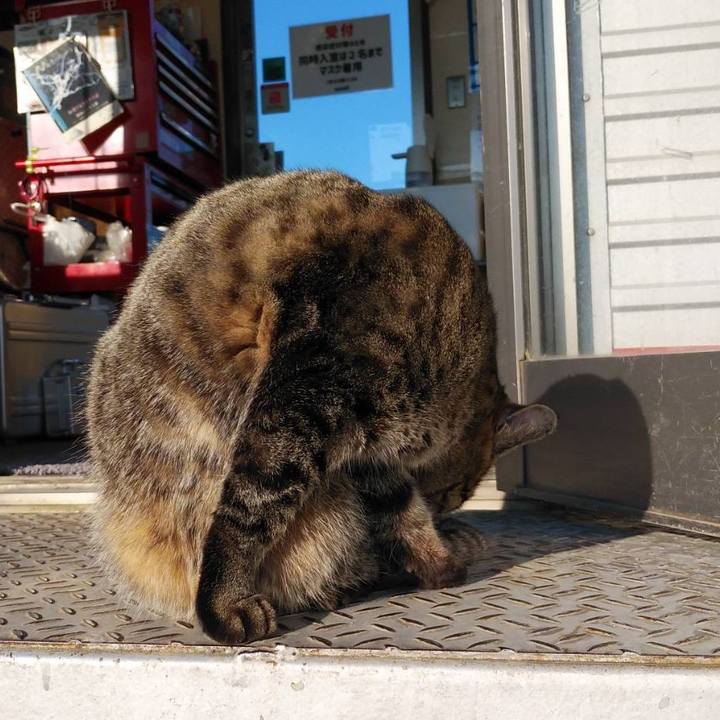 747b7ea0 6439 416f 99ac a98dcd8aa428 1611279263089