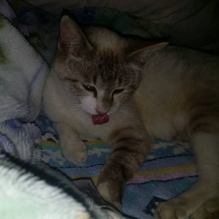 747ba798 741c 4d2a b801 1ff1cd404cad 1524323517895