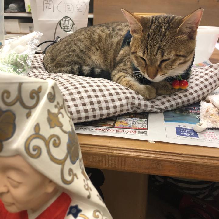 747bd047 d77a 4ffe b628 f4de9f38866f 1582979773648