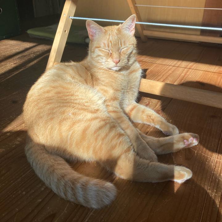 747bd844 8b56 432e b6b6 b84f84ba9fb9 1750547590065