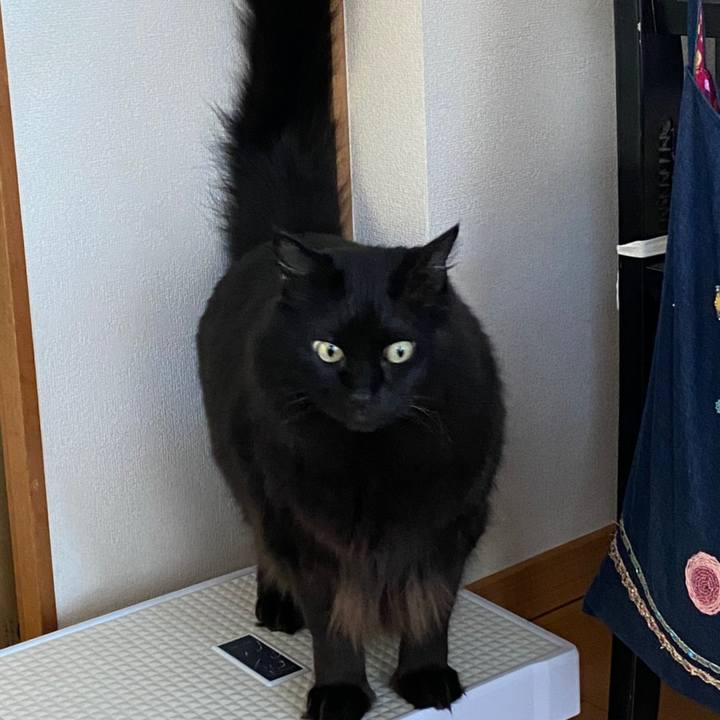 747bf986 b546 4e5b 9163 ce537e7d2a51 1607250538182