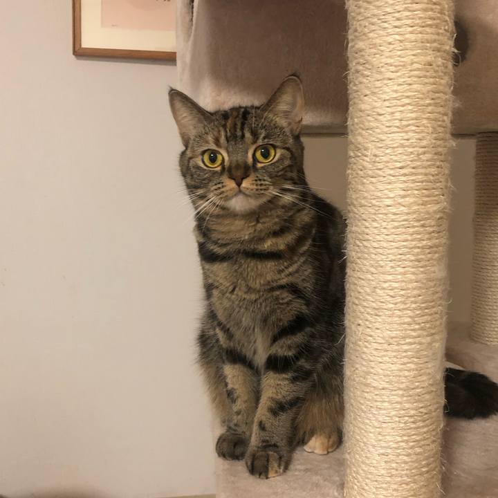 747bf9a0 9f7c 46ea 9b42 2c3fd5b40e72 1639362856616