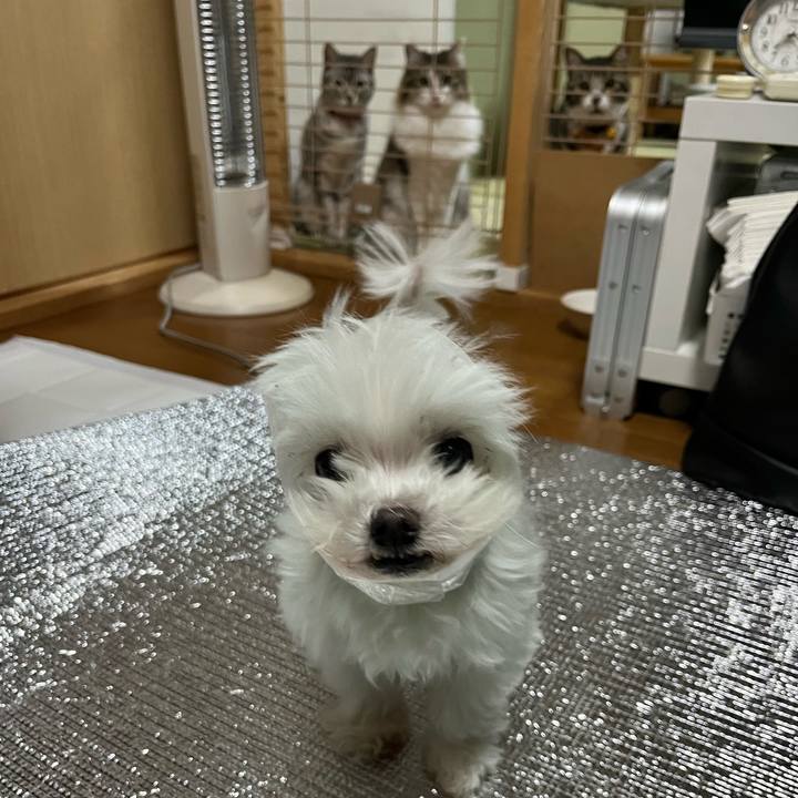 747c406b c5d5 4a66 b89f 71386a136406 1741939408977