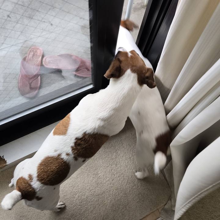 747c5701 9620 431d 9af0 bb6f9d4ea29e 1770856075459