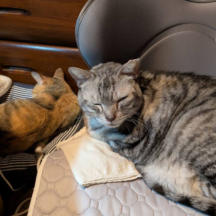 747c6727 6e07 4519 a8d4 6f155d7bea31 1763661026362