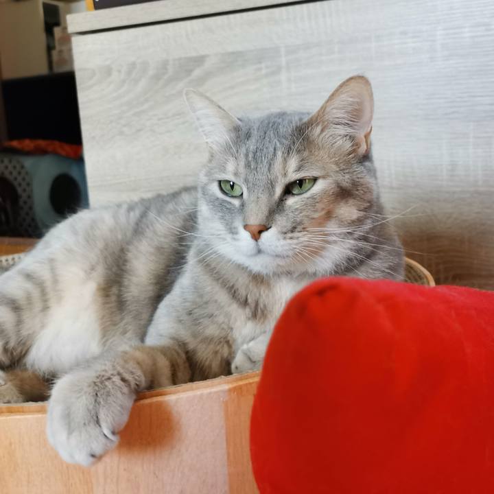 747c74c9 f645 4845 b66e 3f84b3a1996c 1651724548111