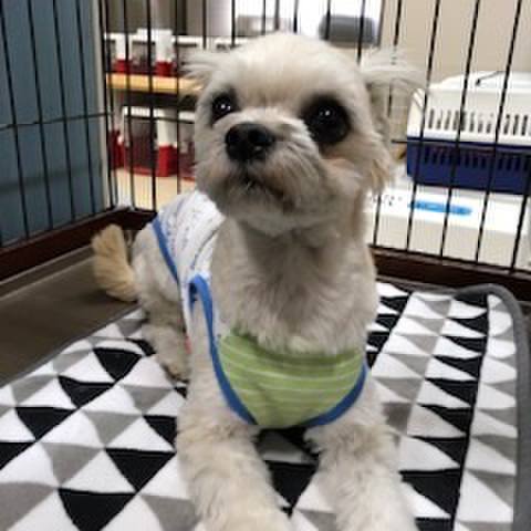 747d209f fe4a 433e 9d5c cfab6bf677f3 1521113525496