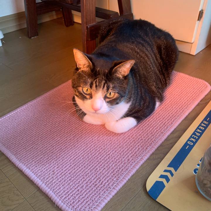 747d2aa6 25a0 458b a897 8ecc957ccb2d 1605159459481