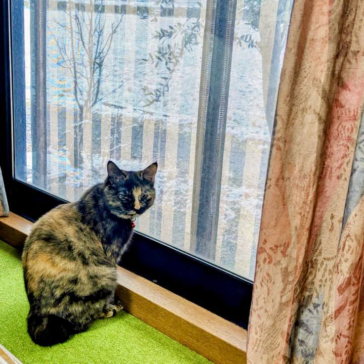 747d2e78 a776 4643 974b c7a4b60b4f7a 1770554216668