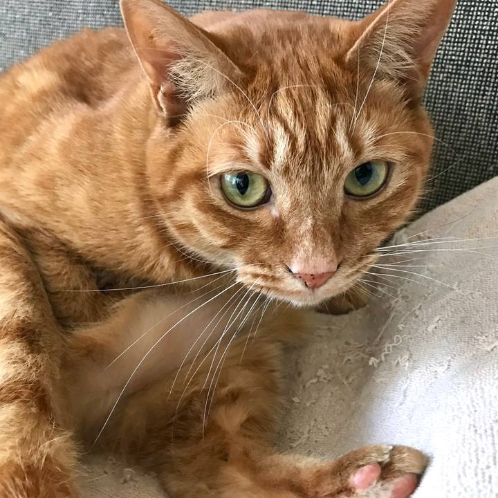 747d31e6 cac4 40d6 a7c8 93f46b4c24b5 1514378252568