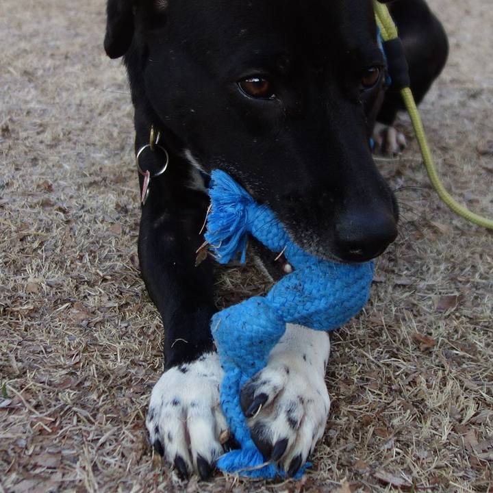 747d35a4 13da 4609 ad80 04c80d755cc8 1613693091593