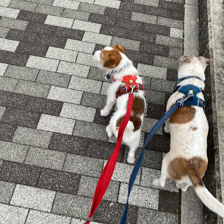 747d5942 d2af 43ba ade0 b1602d8d2aa5 1676101621075