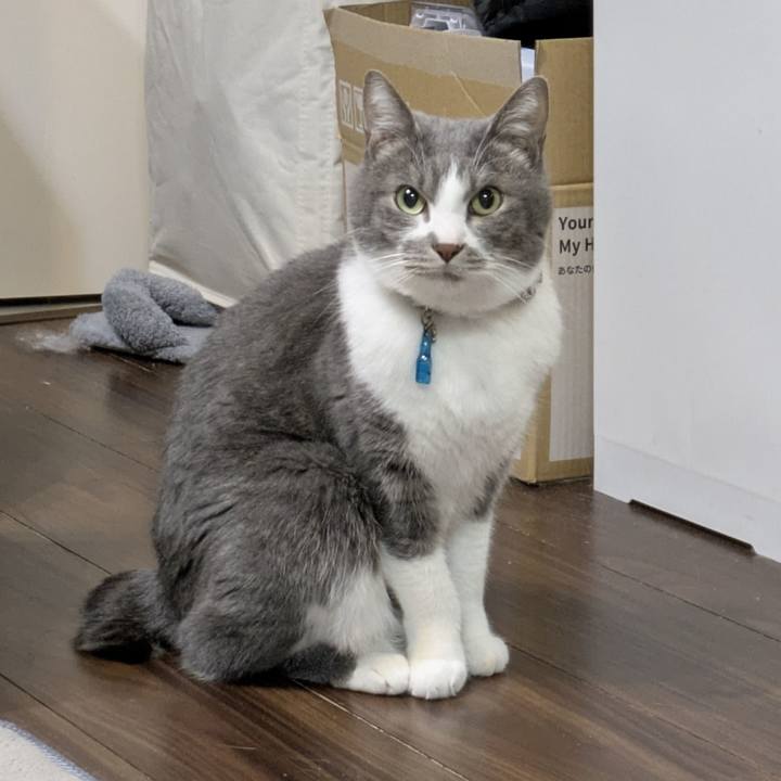 747d64ce 2900 480d b583 6e372e139b1f 1767792914905