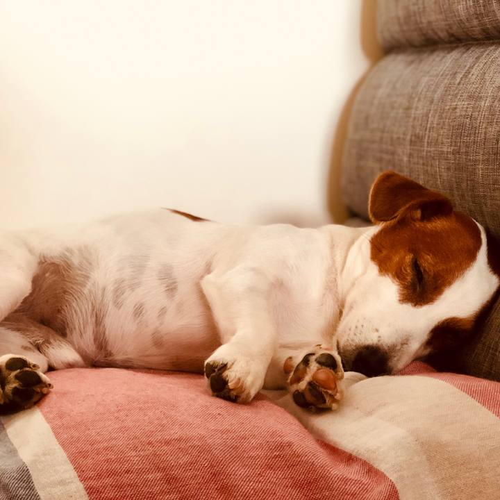 747d83e4 1d0c 464f 914a 0249f97c9d52 1594286526425