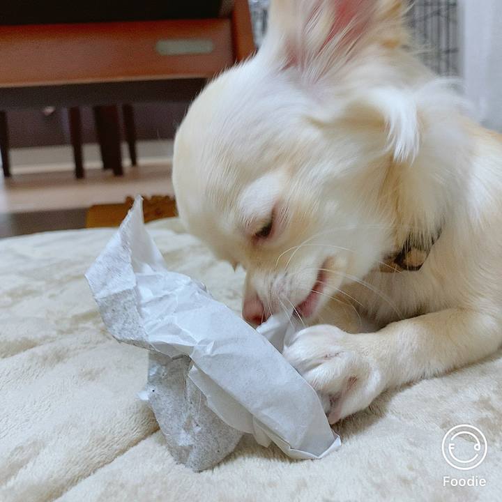 747dbe6b b91c 4813 81cb f04b37666587 1605790012556