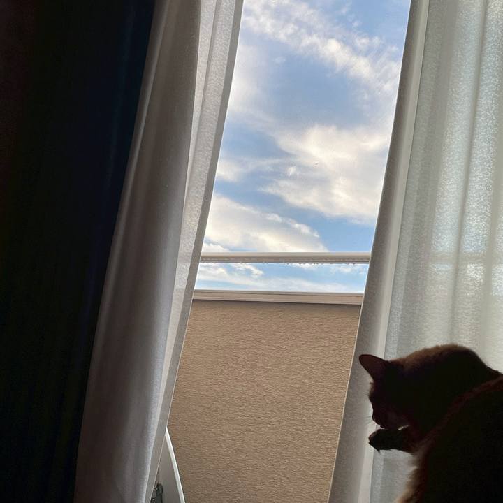 747e09c9 4dc0 4cac 8c74 2778ee797e48 1752789344632