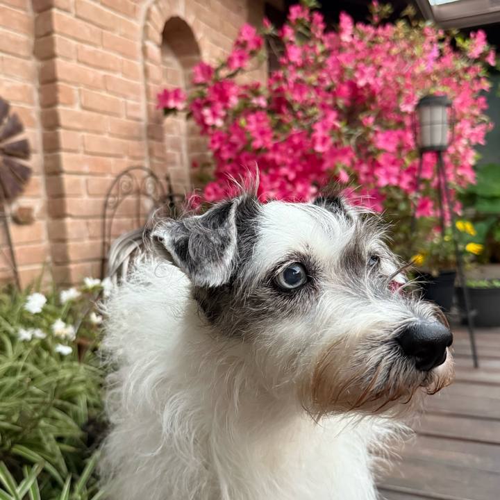 747e2235 e871 4d4d 88f8 8567f4ec2f3a 1772844401756