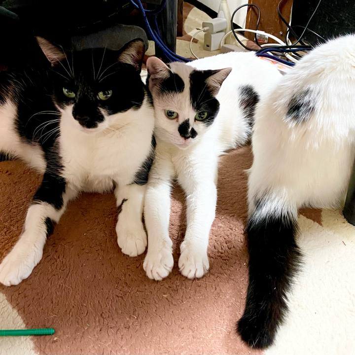 747e3a53 d6f5 4805 b587 83d11cd7aeff 1615864993583