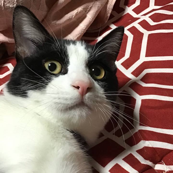 747e421f e691 46de 8775 3dd711d2ee16 1637660194066