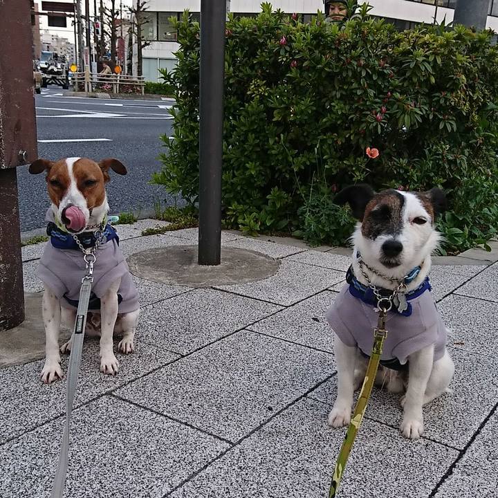 747e791a 1e9c 4bcd ad24 d1cac1749d87 1555538321434