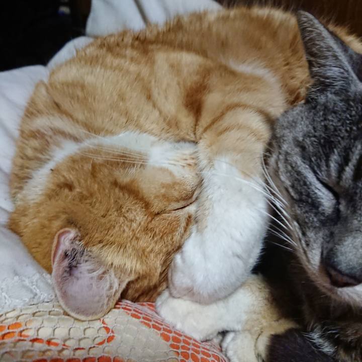 747e8334 bb76 464c ad43 761cd688c839 1580735342154