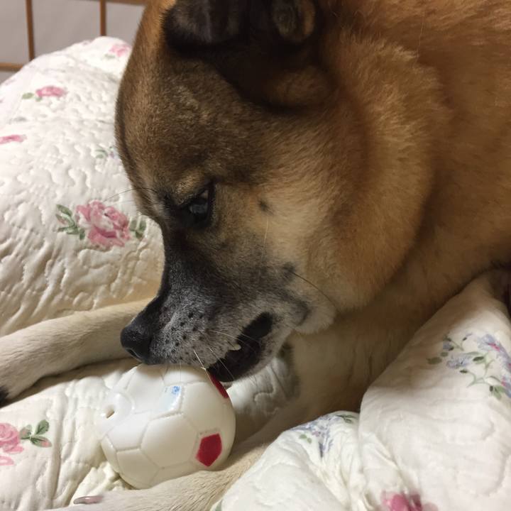 747ec39e 6666 4f09 8b30 bf3ffb648055 1511952970163