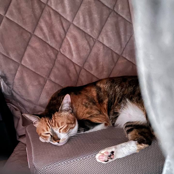 747f58e2 ad57 415e a822 3d97af71e9c2 1772588733982