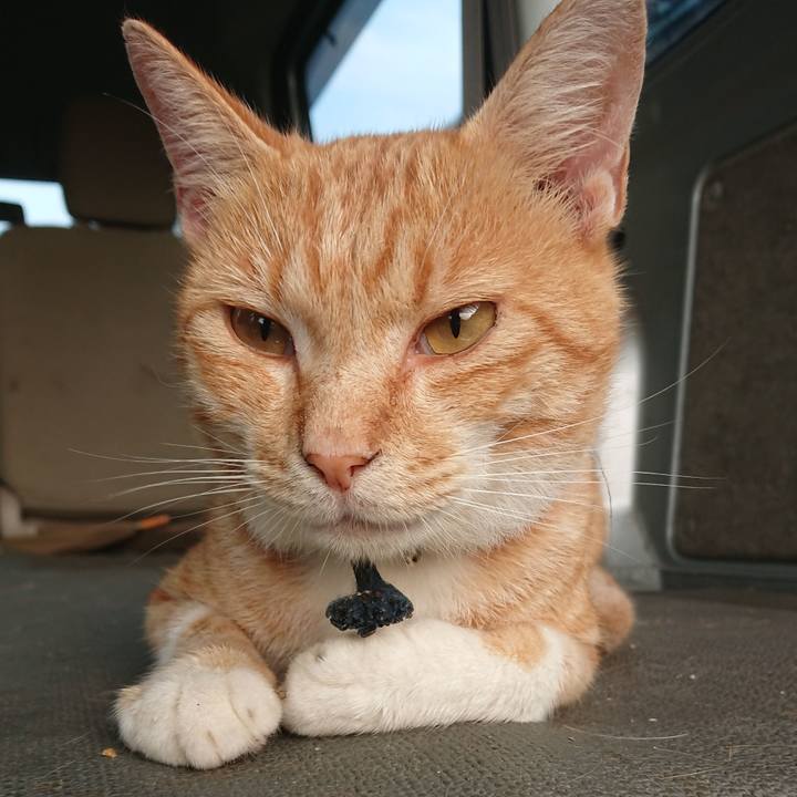 747f5db3 4043 4a8a 8d04 80038f73c653 1564087024674