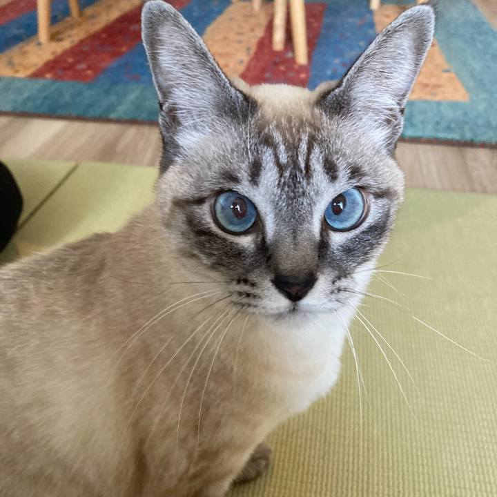 747f6805 e8bb 4572 b8d5 6fa12d6e7928 1643244981751