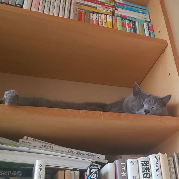 747f6ff2 cd1a 4f3b ab3e 60166e7a8803 1590900053311