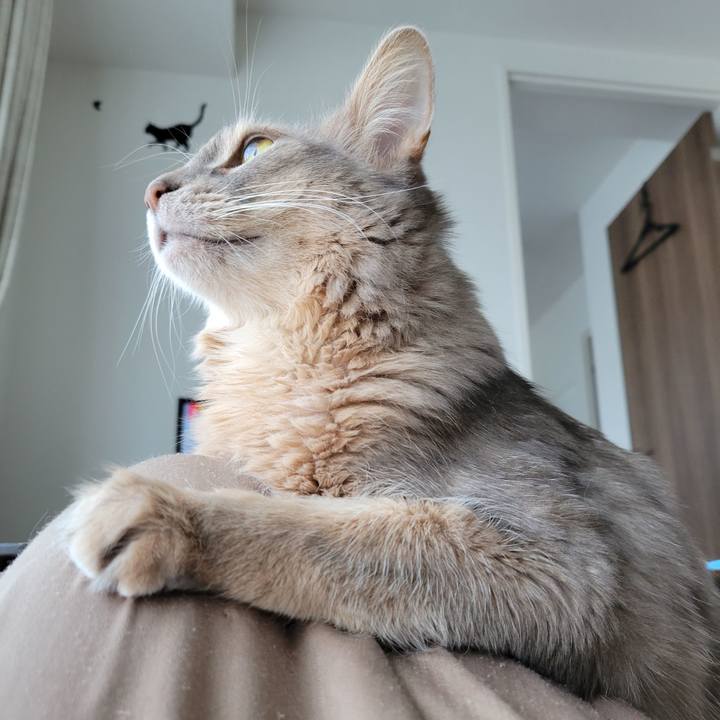 747fdb45 7078 4453 b15c ac3181483289 1651556618455