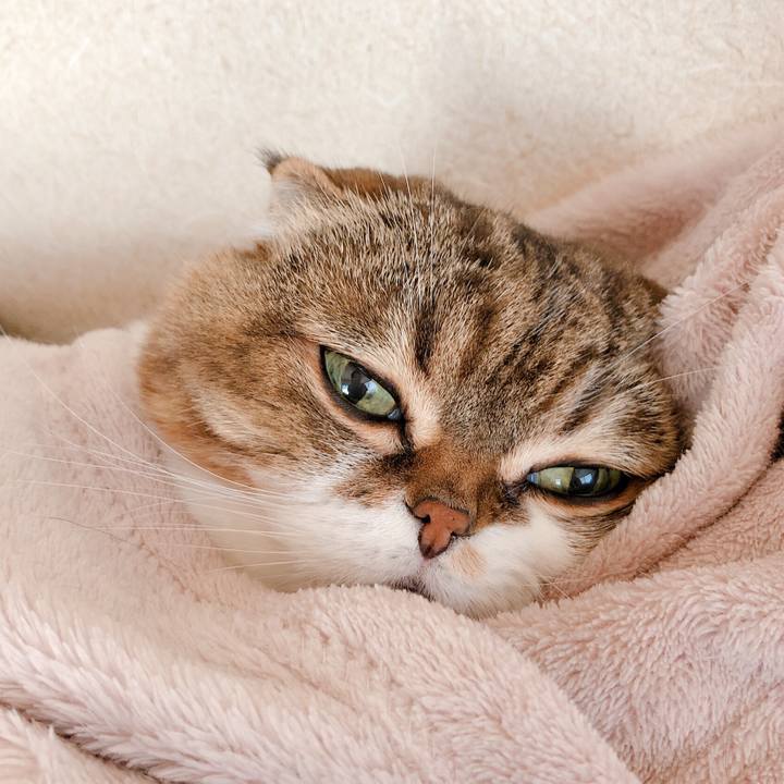 747fe058 3db2 494c 9162 7f8871231d63 1572847345754