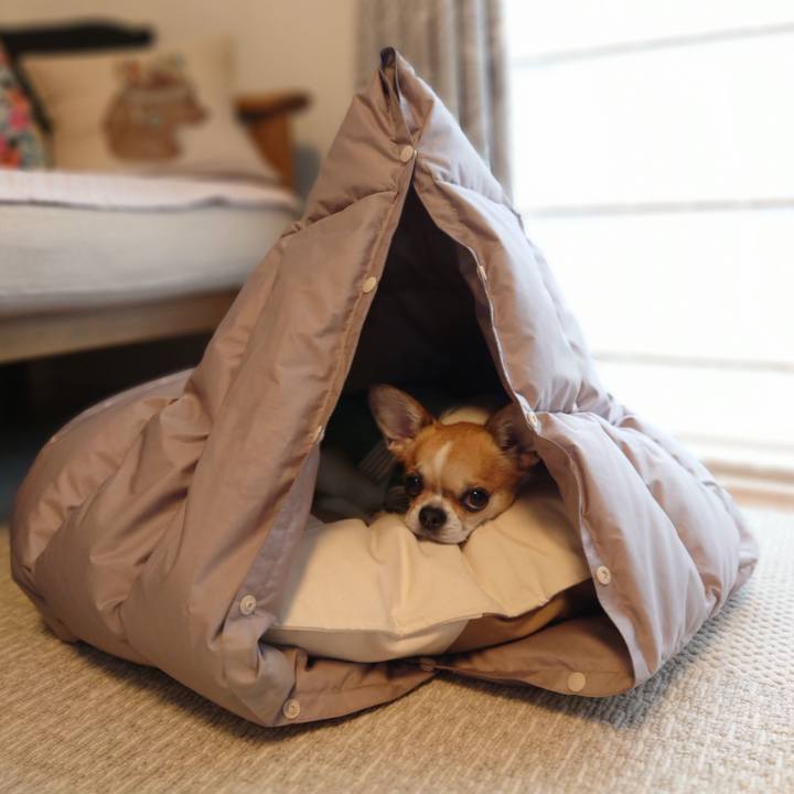 747fe8e4 0b95 4665 8393 601dd8b59531 1674467122357