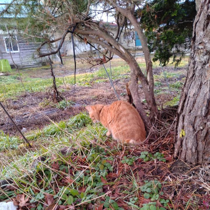 74804ca6 23e8 4b5d b13f c399a75e4353 1670627426282