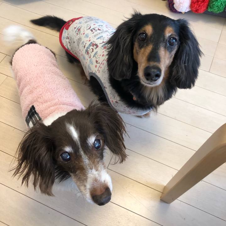 74804e45 cd3a 4289 8f10 48c8ad50a61f 1608072343767