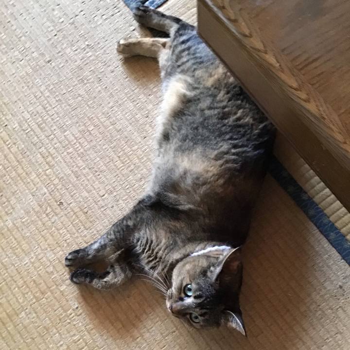 748087b8 92fe 426d ba15 42c2603f7136 1756515249808