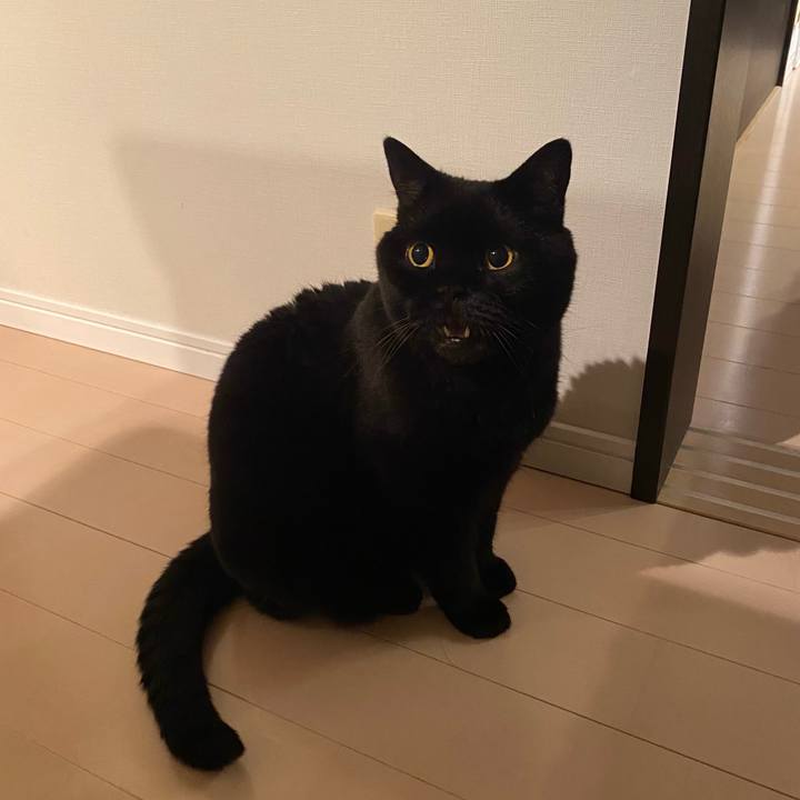 74808f19 87ec 4bc3 8ed6 0cee37361c74 1759670234016