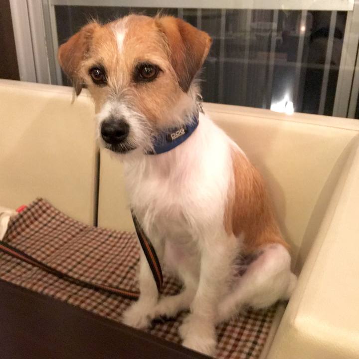 7480a07a d782 48d9 bba8 76881e148c87 1538481950125