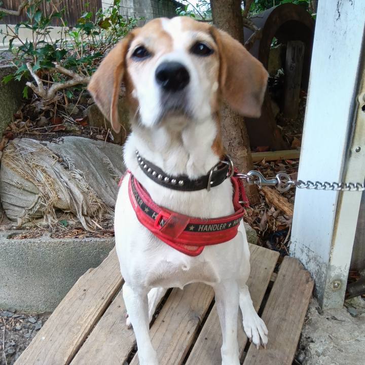 7480ed9d 1199 44c8 b276 e86e4216a237 1730091897957