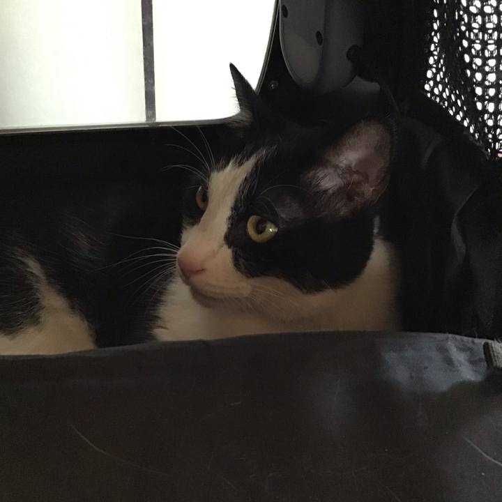 748104d1 1b25 480d a5bf 0326f0f5f9dd 1785381338196