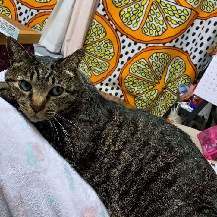 74810799 1e54 467c b756 33b23f1761f4 1582332825467