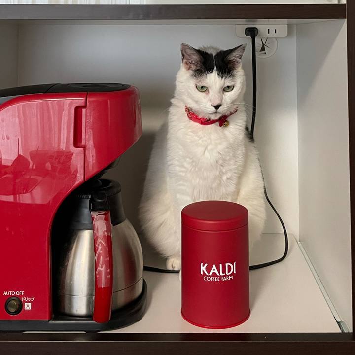 74816649 30d9 43cd bcaf 8e593b78036e 1622763338553