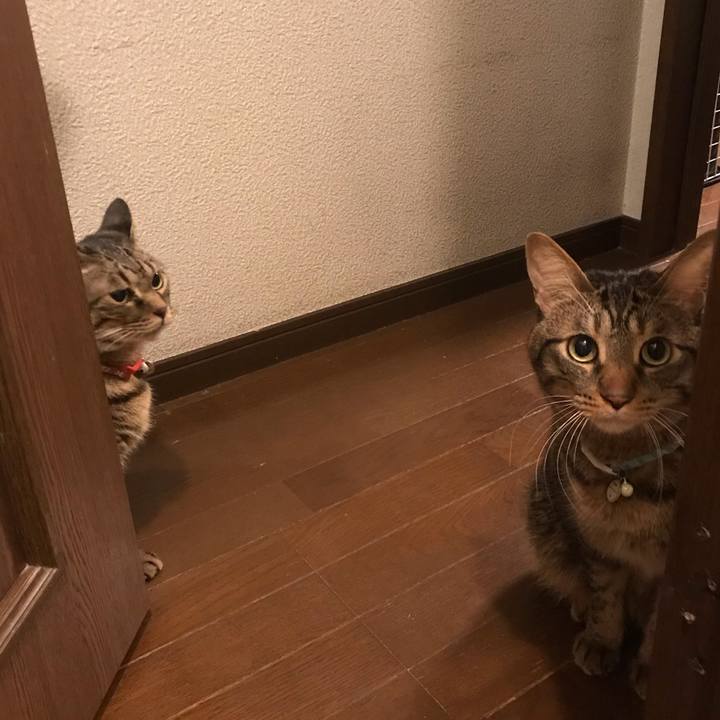 74816791 6d58 4ff8 aea1 d3a76b02dcd3 1544307743884