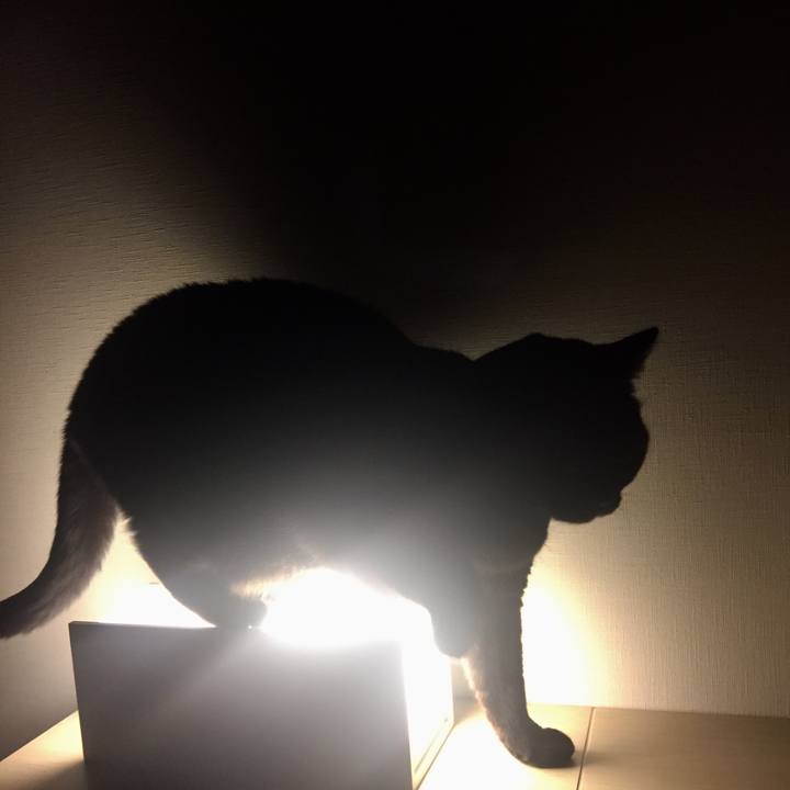 748193fd 7029 4d44 bafc 2ff28ad1359e 1546779527166