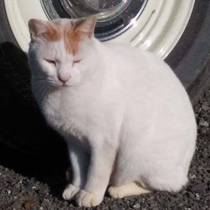 7481d1a2 8e74 4e8f 8743 a2c848a1e5e5 1636674517101