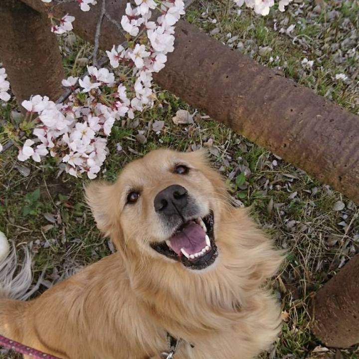 7481d1f1 23fb 4503 896c 08d8fb2936f3 1759057684215