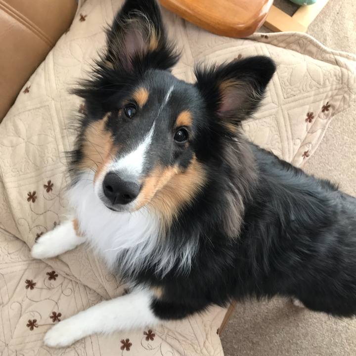 7481fb80 50db 4330 9cb8 e4b9381be97c 1523310770762