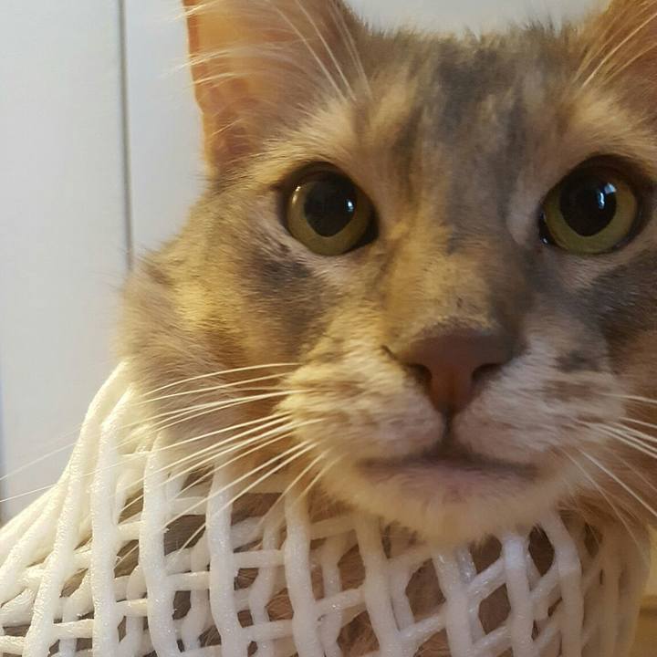 748217d2 31fd 4d9e b1d9 642fee5e57d6 1559986585210