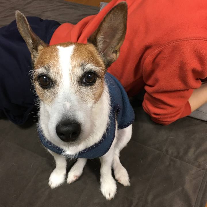 74826037 a6ea 463a b288 bd590c1c985e 1580961255879