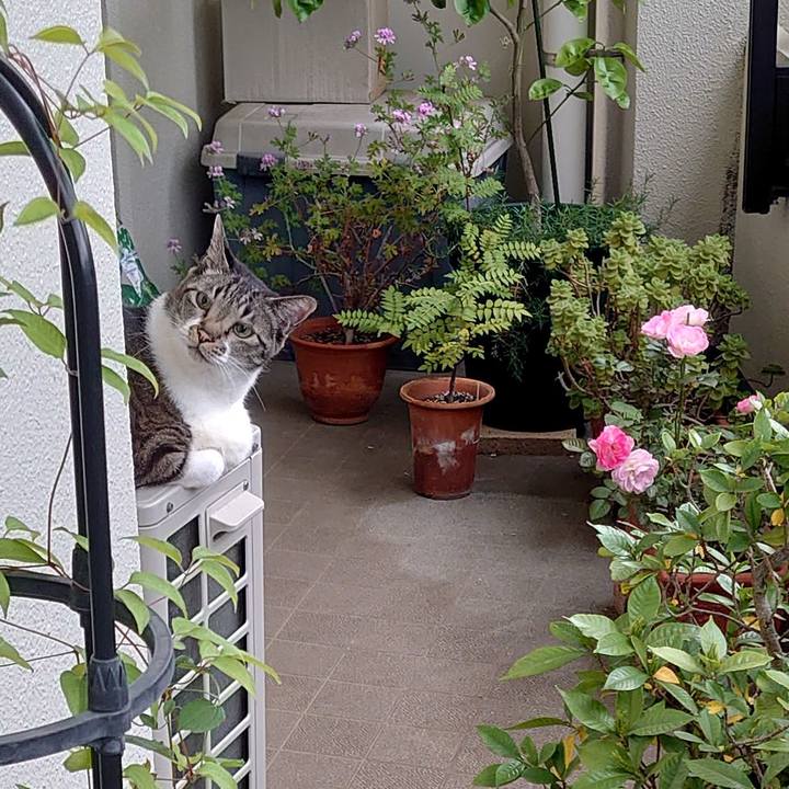 74827ccd 4a18 4443 8cba 4c08ad81dd8b 1685232761210